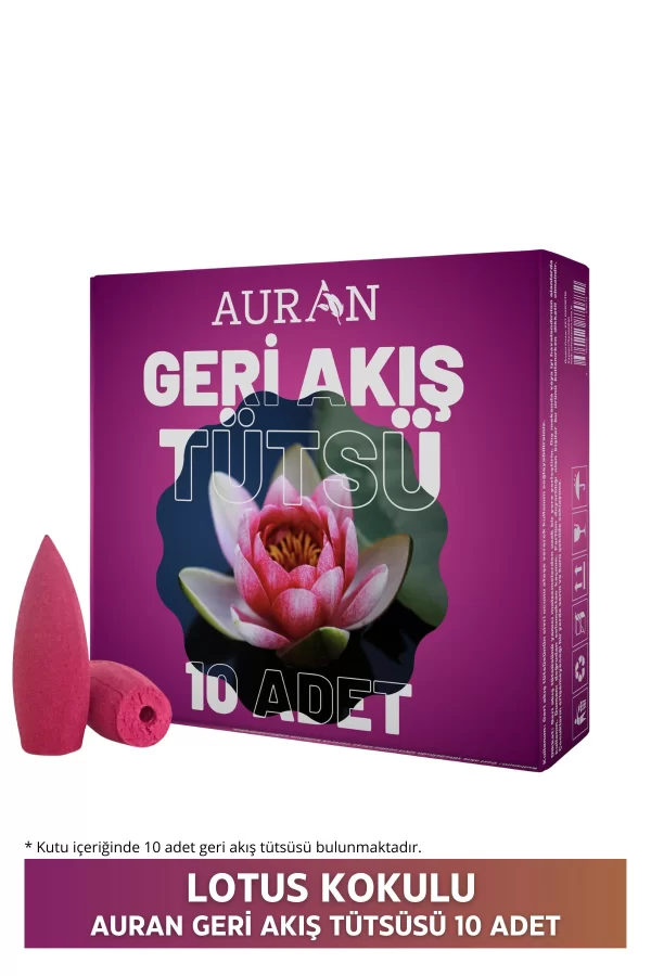 Toptan Lotus Kokulu Geri Akış Tütsüsü konik Tütsü Lotus Backflow Incense Cones 10 Adet