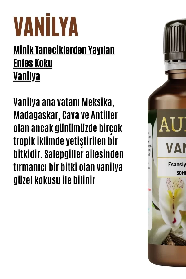 Toptan Vanilya Saf Esansiyel Uçucu Koku Yağı