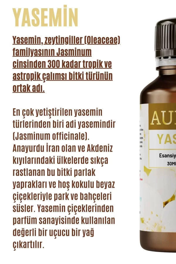 Toptan Yasemin Saf Esansiyel Uçucu Koku Yağı