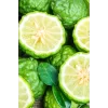 Toptan Bergamot Saf Esansiyel Uçucu Koku Yağı