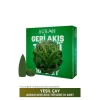 Toptan Yeşil Çay Kokulu Geri Akış Tütsüsü konik Tütsü Green Tea Backflow Incense Cones 10 Adet