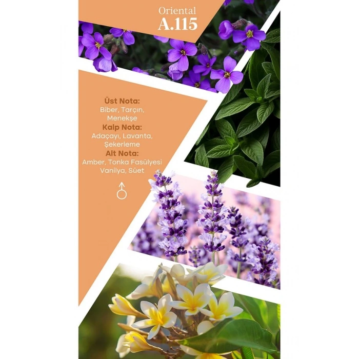 Mad Parfüm Mad A115 Selective 100 ml Erkek Parfüm