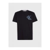 Calvin Klein Pamuklu Regular Fit Bisiklet Yaka T Shirt