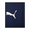 Puma Teamrise Sideline Pants Erkek Futbol Antrenman Eşofman Altı