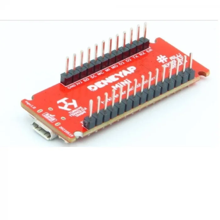 Deneyap Mini