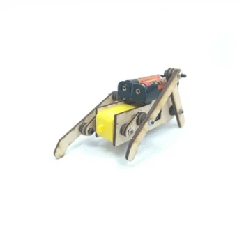 STEM Paytiş Robot