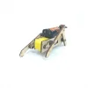 STEM Paytiş Robot