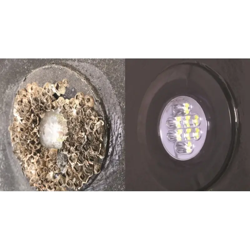 Lightspeed Sualtı Aydınlatma Koruyucu Kit 15Ml