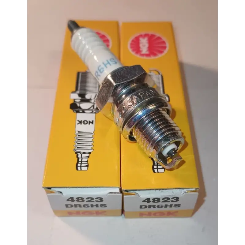 NGK Buji DR6HS