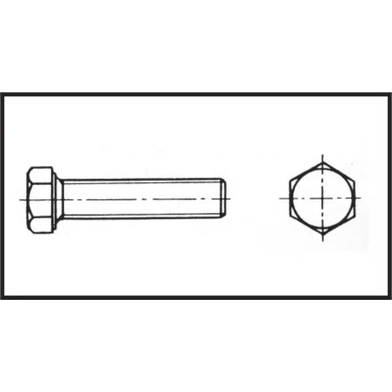 Altı Köşe Civata 5X25 mm Aısı 316 Dın 933