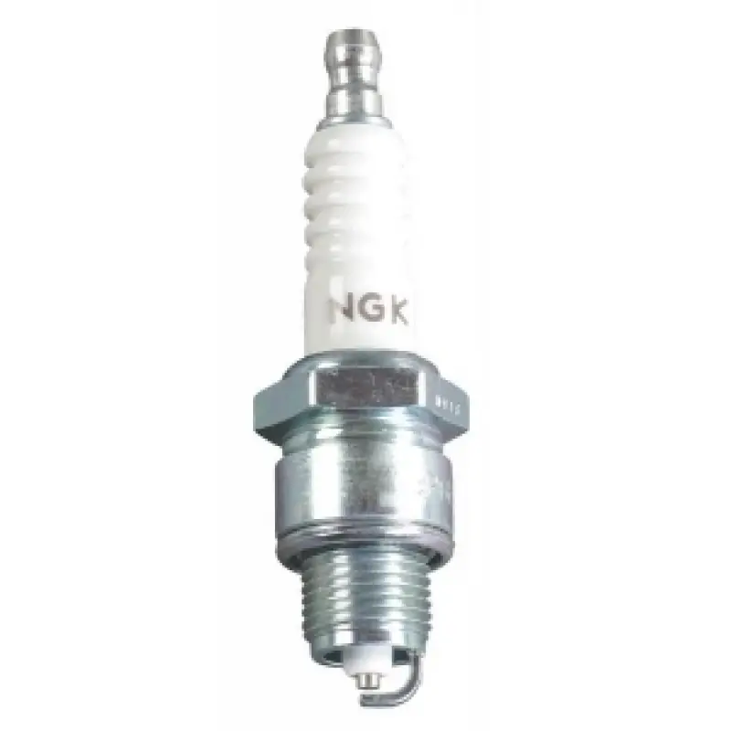Ngk Buji