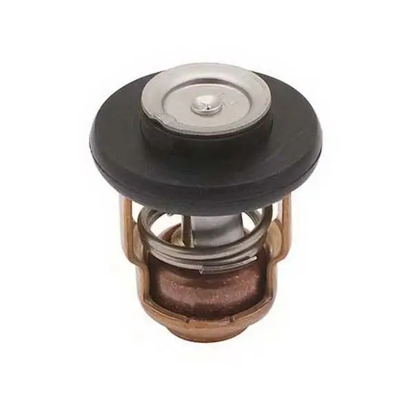 18-43038 Termostat Yamaha Orj: 69m-12411-01-00