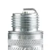 Champion Buji D16