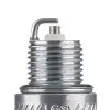 Champion Buji QL78YC - Mariner / Evinrude / Johnson Motorları İçin