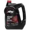 XPS Evinrude Johnson XD30 2 Zamanlı Motor Yağı 3,78 Lt.