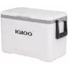 Igloo Buzluk