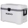 Igloo Buzluk