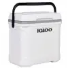 Igloo Buzluk