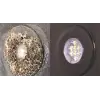 Lightspeed Sualtı Aydınlatma Koruyucu Kit 15Ml