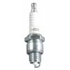 Ngk Buji