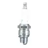 Ngk Buji
