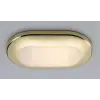 Sea World Phad Led Gömme Lamba