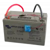 VICTRON ENERGY SMART BATTERY SENSE