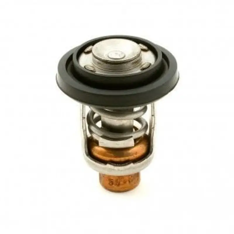 18-43036 Termostat Yamaha Orj: 6g8-12411-03-00