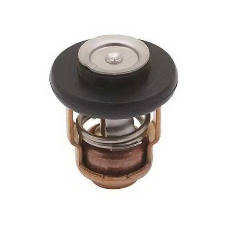 18-43038 Termostat Yamaha Orj: 69m-12411-01-00