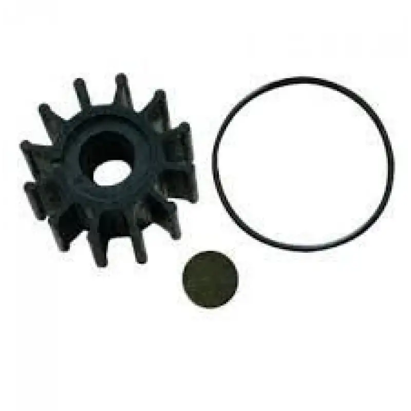 500189 Volvo Impeller 21213660, 3862567