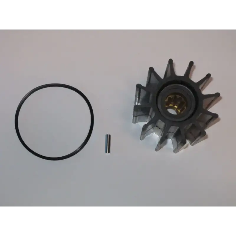 500192 Impeller 29000k