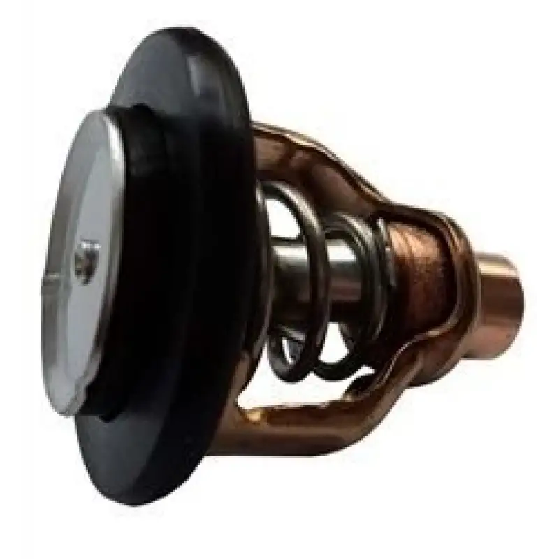 66m-12411-01-00 Yamaha Termostat 4str.   4-6-8-9.9-15 Hp