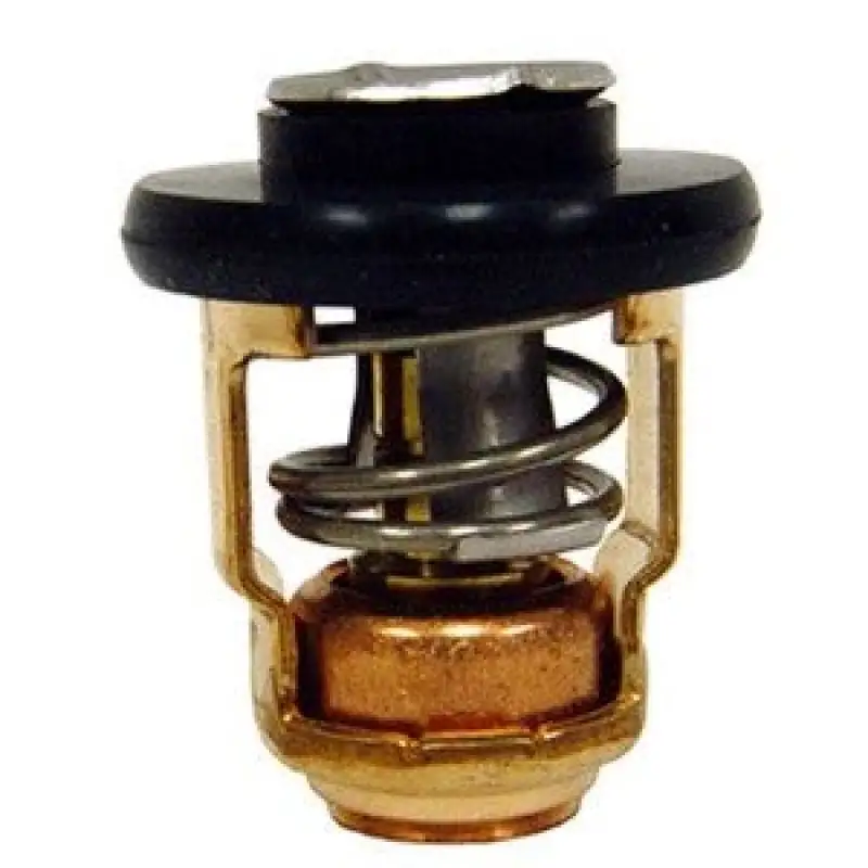 6g8-12411-03-00 Yahama Termostat 4str.   9.9-25-30-40-50-60-70 Hp