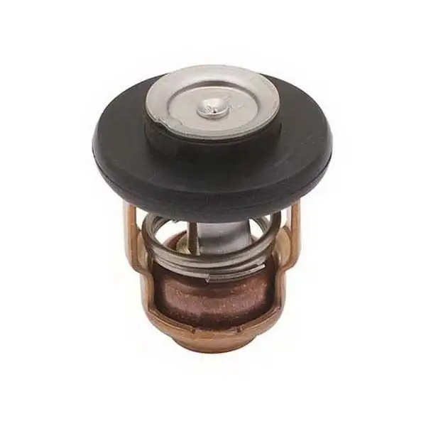 18-43038 Termostat Yamaha Orj: 69m-12411-01-00