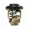 18-3540 Termostat Yamaha Orj: 6e5-12411-30-00