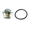 18-3615 Termostat Volvo Orj: 3587597