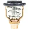18-3636 Yamaha Termostat
