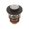 18-43038 Termostat Yamaha Orj: 69m-12411-01-00
