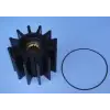 500181 Cef Impeller Cummıns  3974456, Dj Pump  08-351201,  Sherwood   27000k..