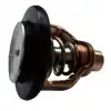 66m-12411-01-00 Yamaha Termostat 4str.   4-6-8-9.9-15 Hp