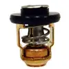 6g8-12411-03-00 Yahama Termostat 4str.   9.9-25-30-40-50-60-70 Hp