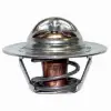 807252t 2 Mercruıser Termostat