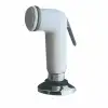 BARKA Hortumlu Duş Flanşlı DS0313