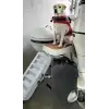 Paws-up Tekne Köpek Merdiveni