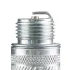 Champion Buji D16