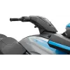 Yamaha JET SKI FX Crui.ho