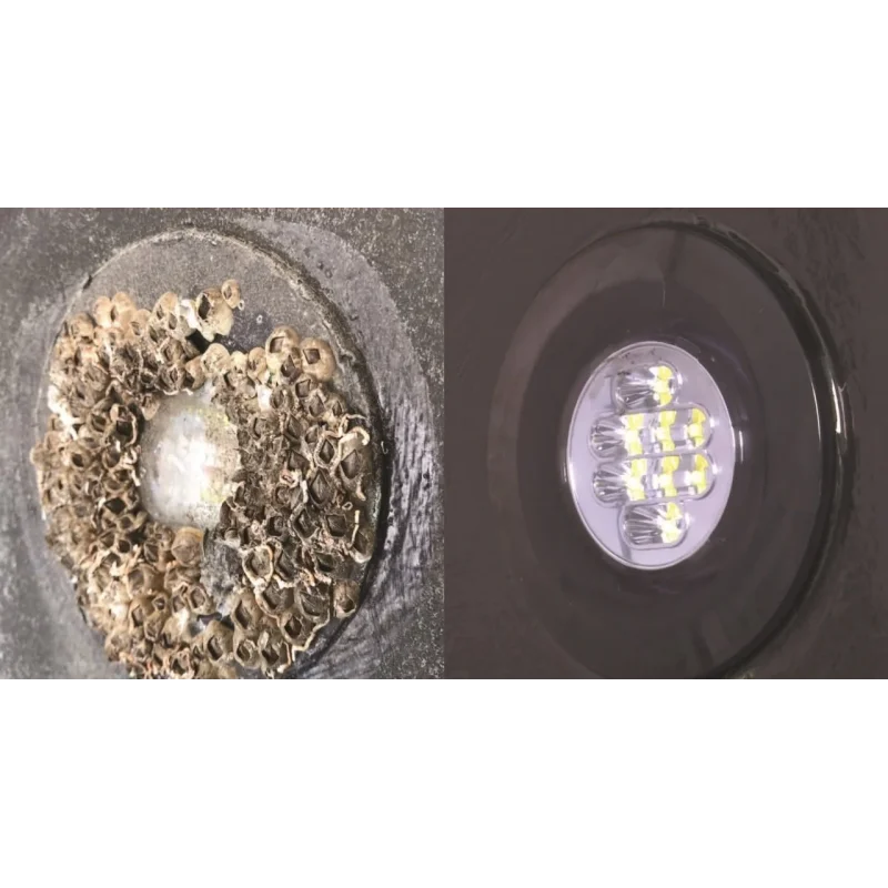 Lightspeed Sualtı Aydınlatma Koruyucu Kit 15Ml