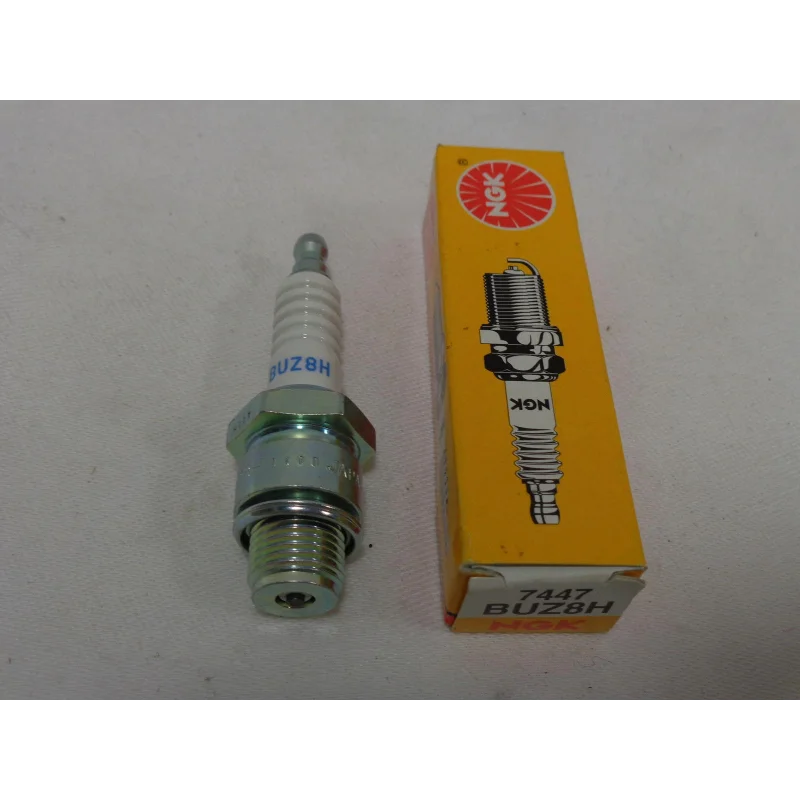 NGK 7447 Buji BUZ8H