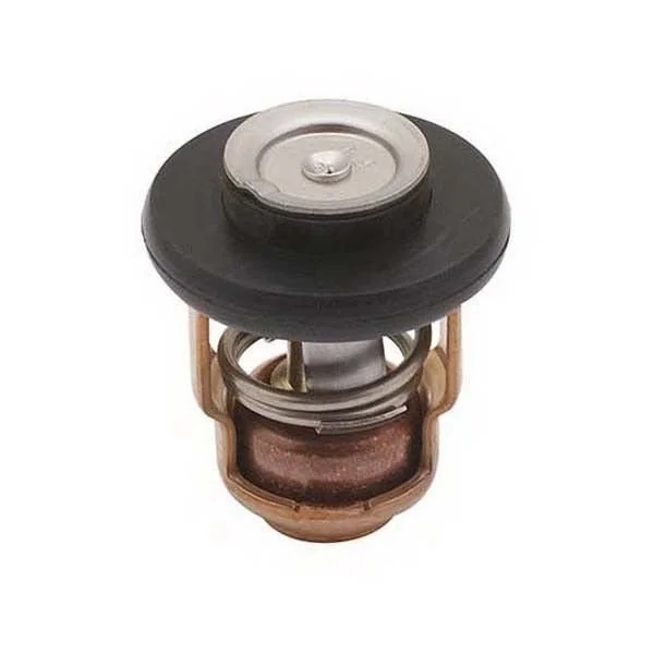 18-43038 Termostat Yamaha Orj: 69m-12411-01-00