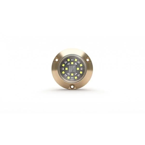 Lumishore SMX94 RGBW Sualtı Aydınlatma Lambası
